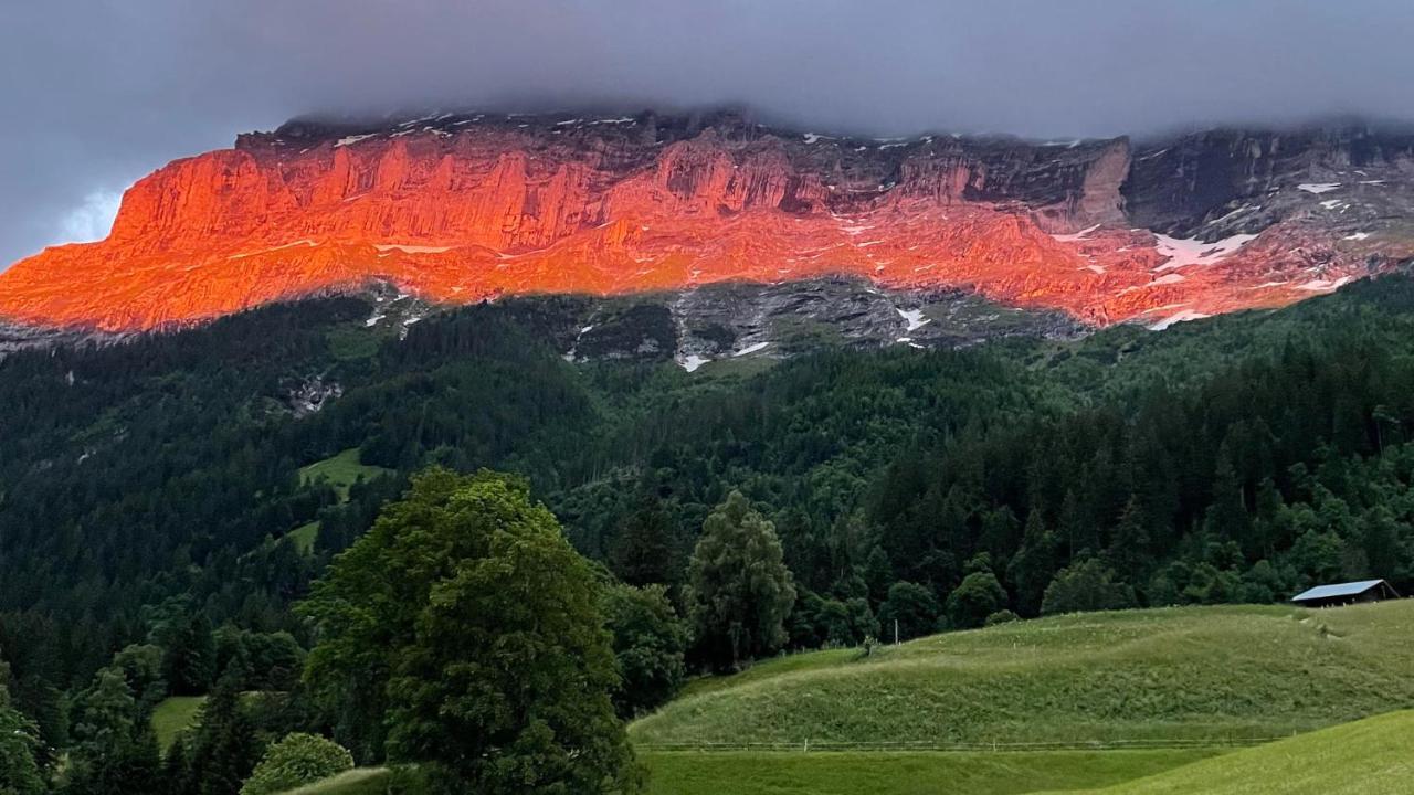 Romantisches Plaetzchen In Der Natur Гринделвалд Екстериор снимка