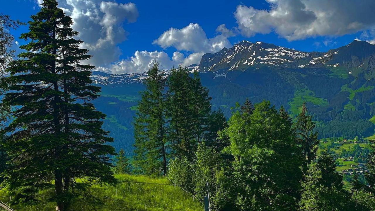Romantisches Plaetzchen In Der Natur Гринделвалд Екстериор снимка