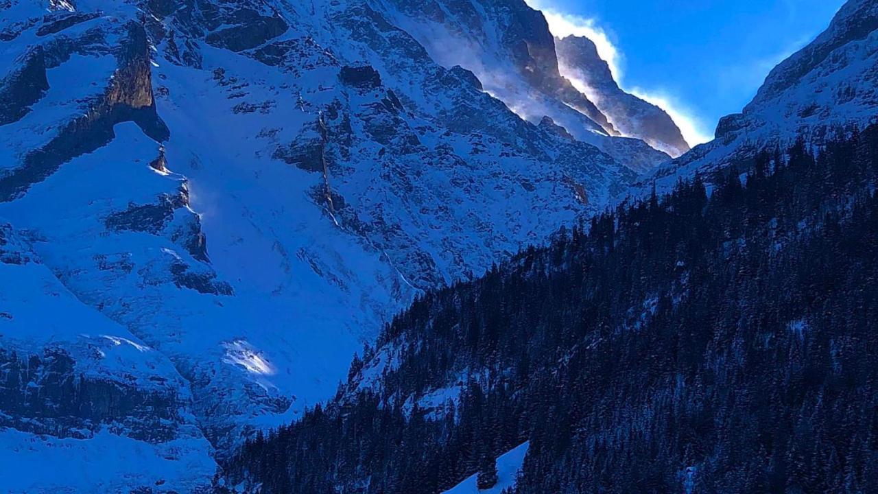Romantisches Plaetzchen In Der Natur Гринделвалд Екстериор снимка